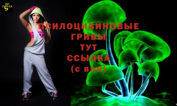 марки lsd Вяземский