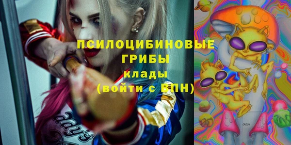 марки lsd Вяземский